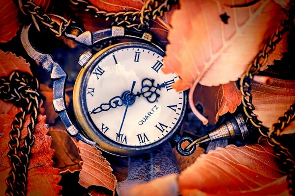 Tarcza zegara na tle jesiennych liści