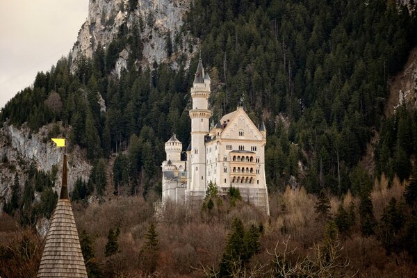 Antico castello sul pendio di una montagna boscosa