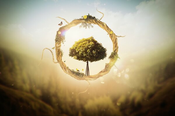 Grafika, Drzewo w wiklinowym okrągłym wieńcu