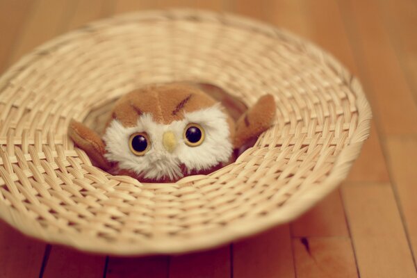 Stuffed owl toy with big eyes