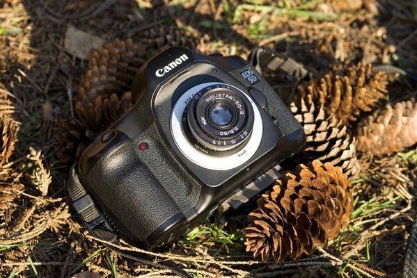 A picture of a camera on a background of yellow leaves