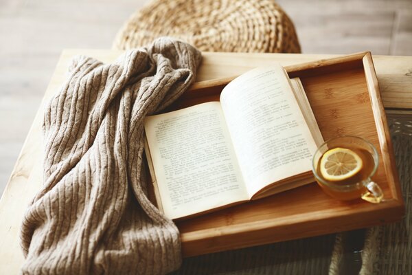 Libro que erizo al lado en una taza de té