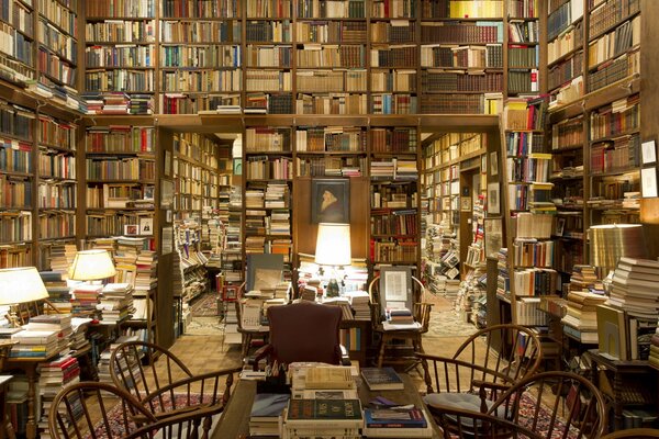 Una gran biblioteca con una gran variedad de libros