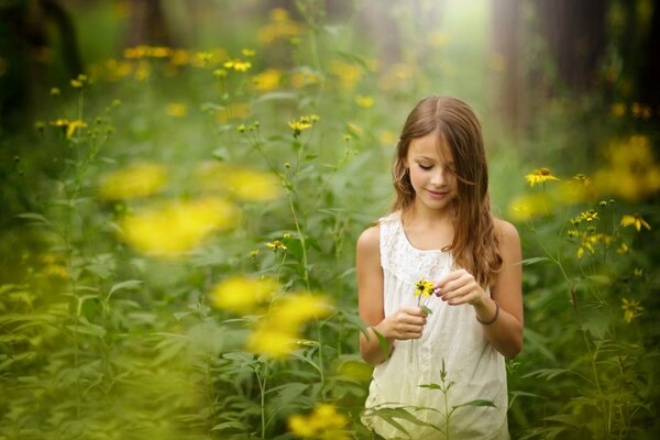 A girl in nature picks flowers