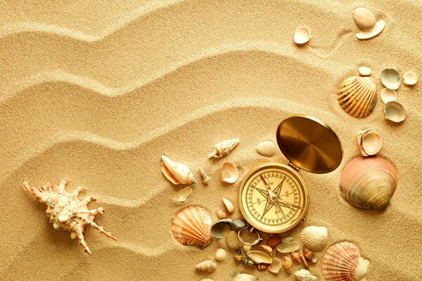 Coquillages avec boussole sur le sable