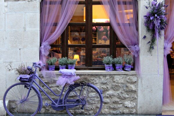 A lavender-colored bicycle near a coffee shop of the same color