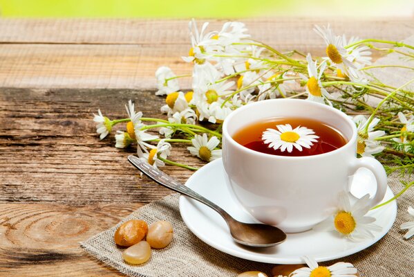 Tasse de thé sur une soucoupe avec des marguerites