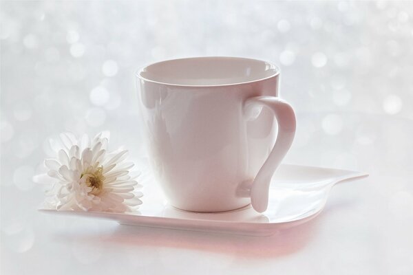 Tasse rose avec soucoupe sur fond de reflets