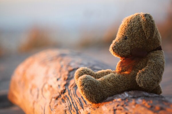 Oso de peluche De juguete en un tronco