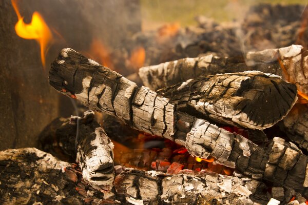 Countryside with a campfire and barbecue