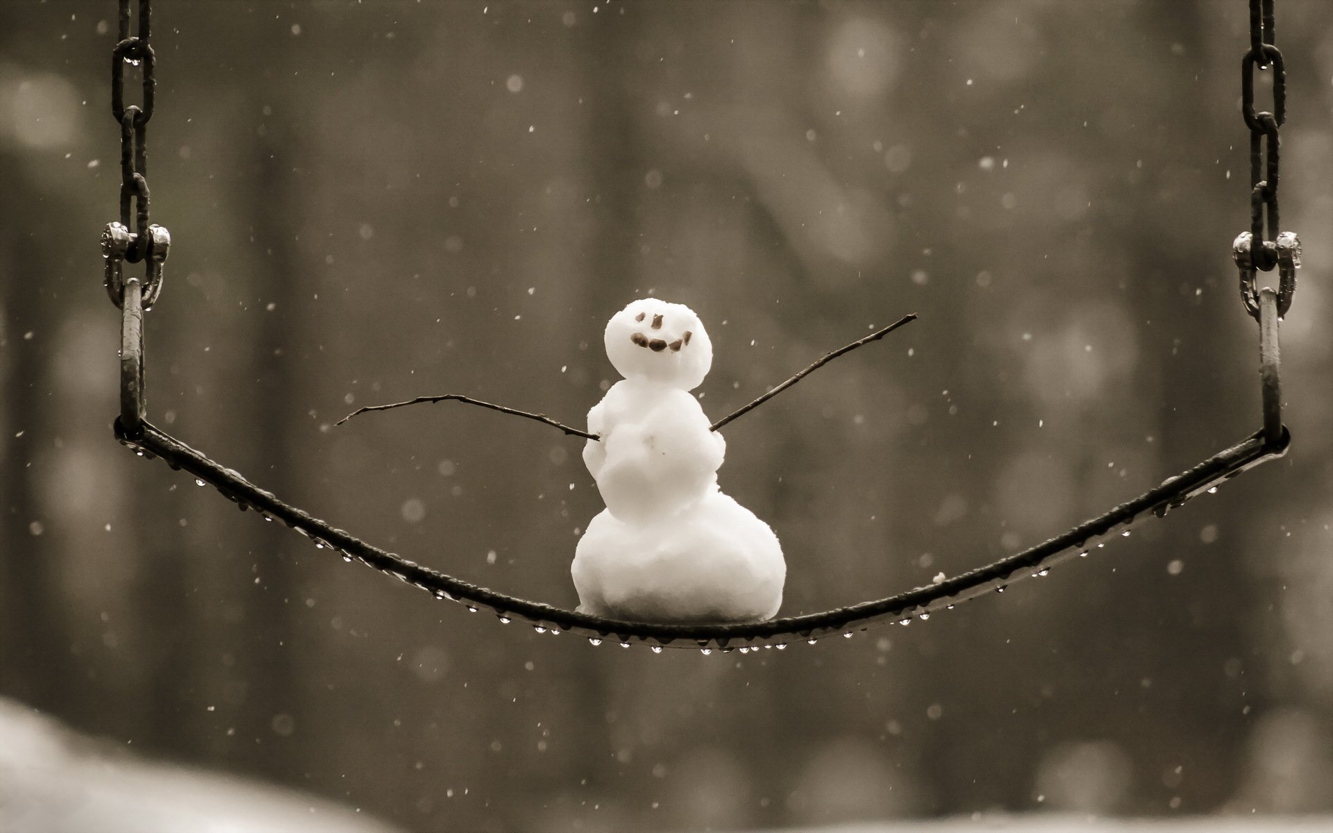 nowman swing winter