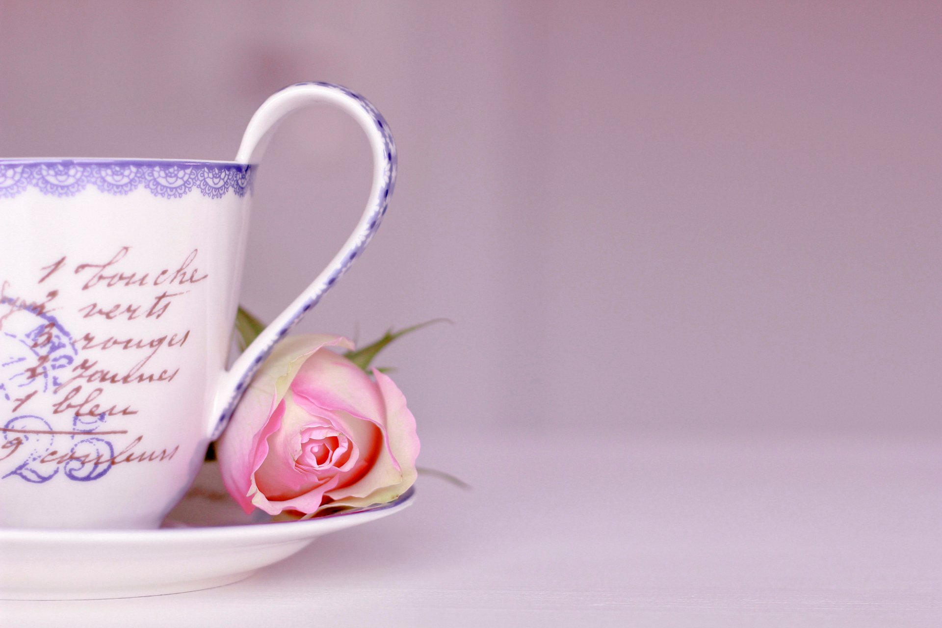 tasse untertasse schriftzug wörter rose blume rosa hintergrund