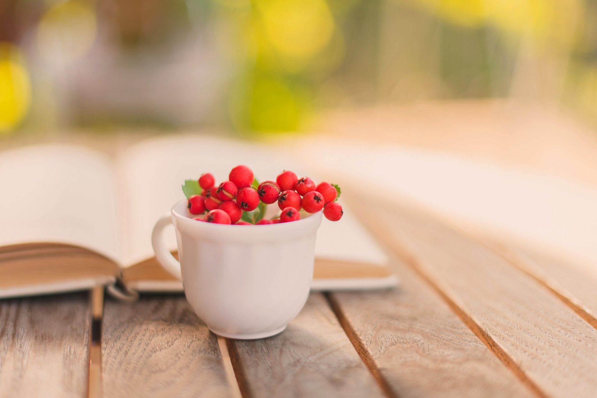 buch tasse beeren rot eberesche herbst tisch unschärfe