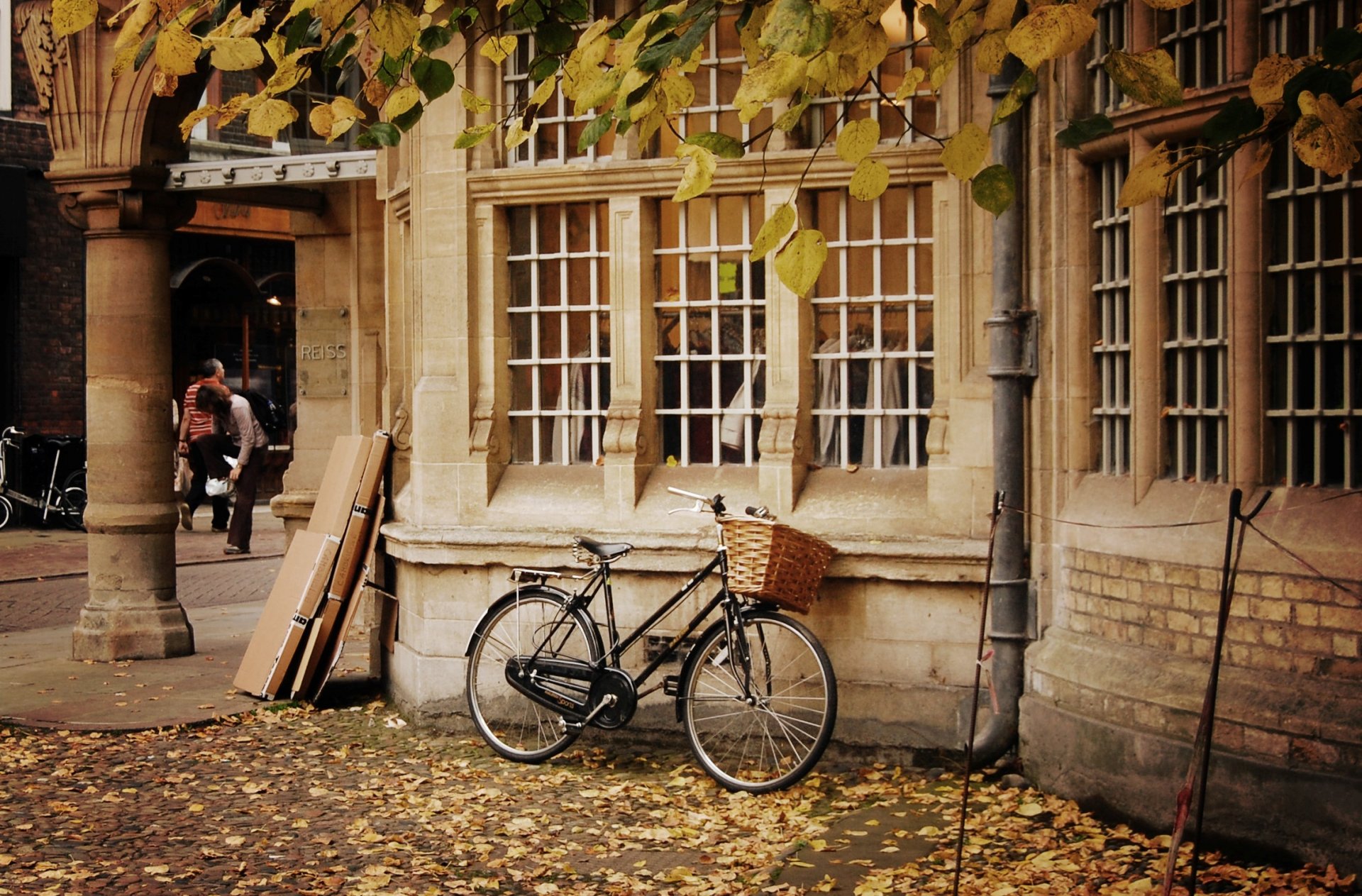 sonstiges fahrrad rad korb korb natur herbst blätter gelb laubfall bäume haus fenster menschen hintergrund tapete widescreen vollbild widescreen widescreen