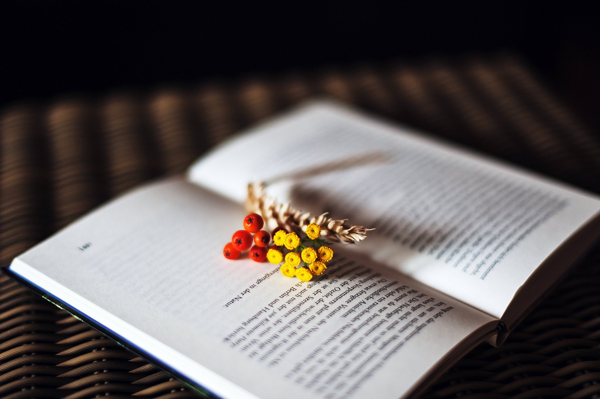 book pages the text berries flower spike