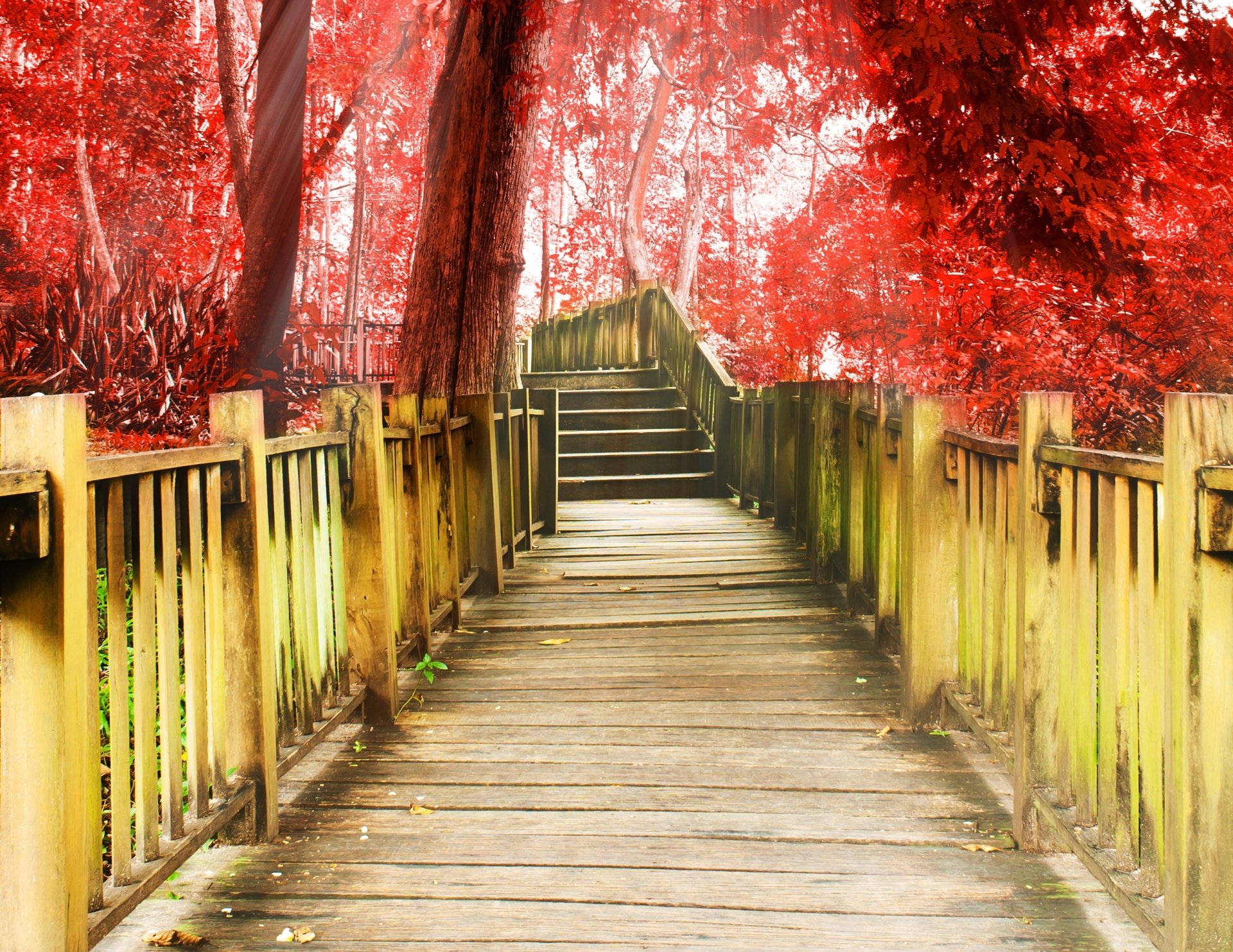 sonstiges gehweg treppe stufen stufen baum bäume rot hintergrund tapete widescreen vollbild widescreen widescreen