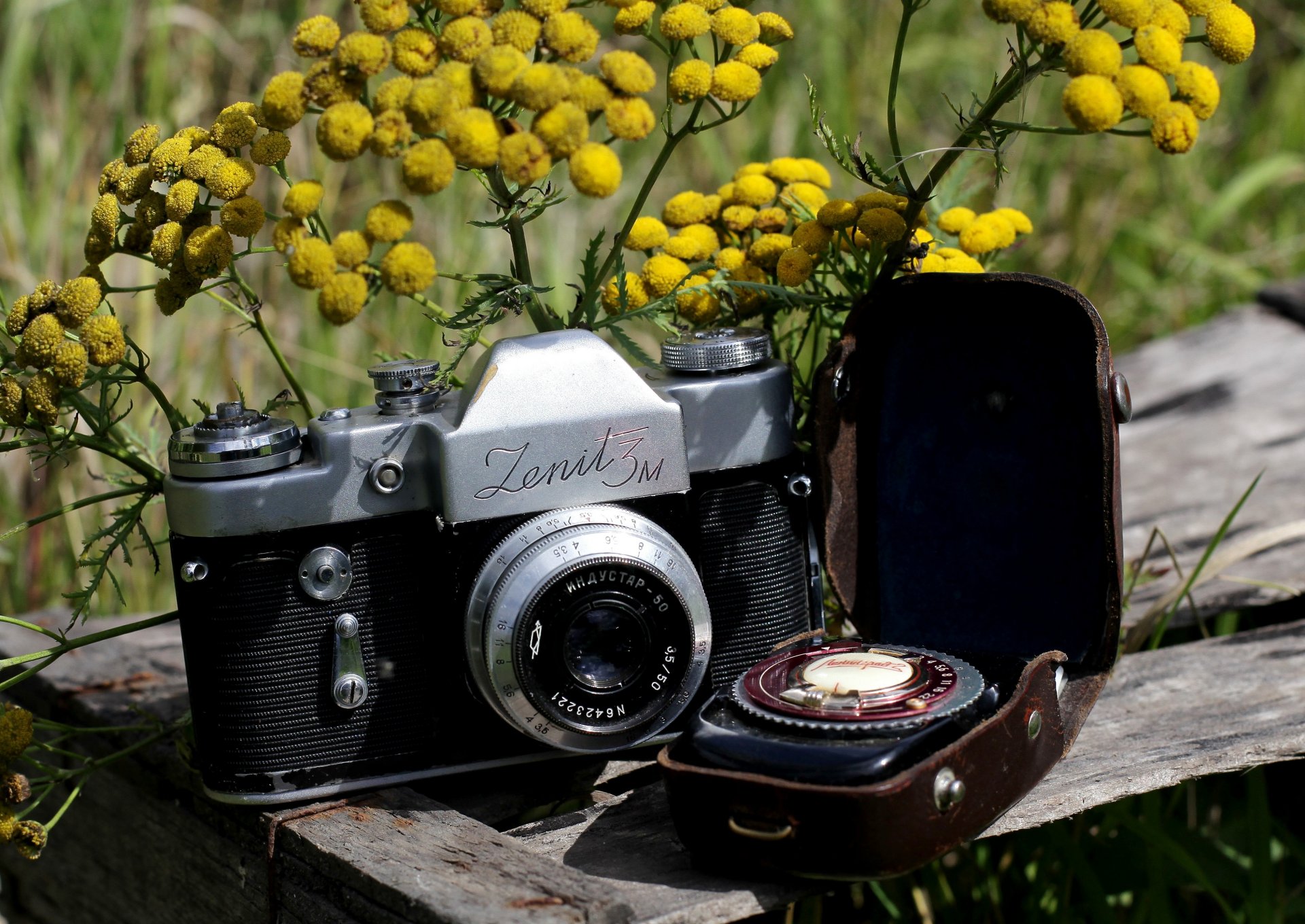 a camera zenit-3m soviet single-lens mirror light meter leningrad 2 bag flower mimosa background