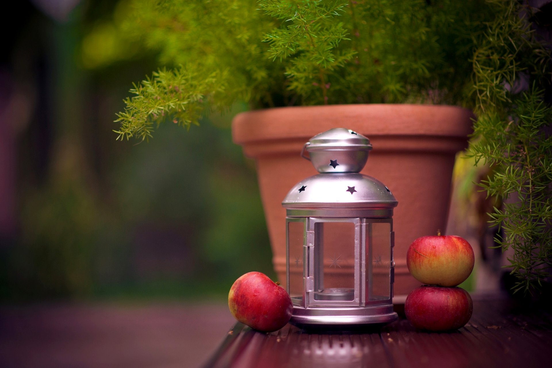 lanterna lanterna ikea candela vaso di fiori pianta mele frutta