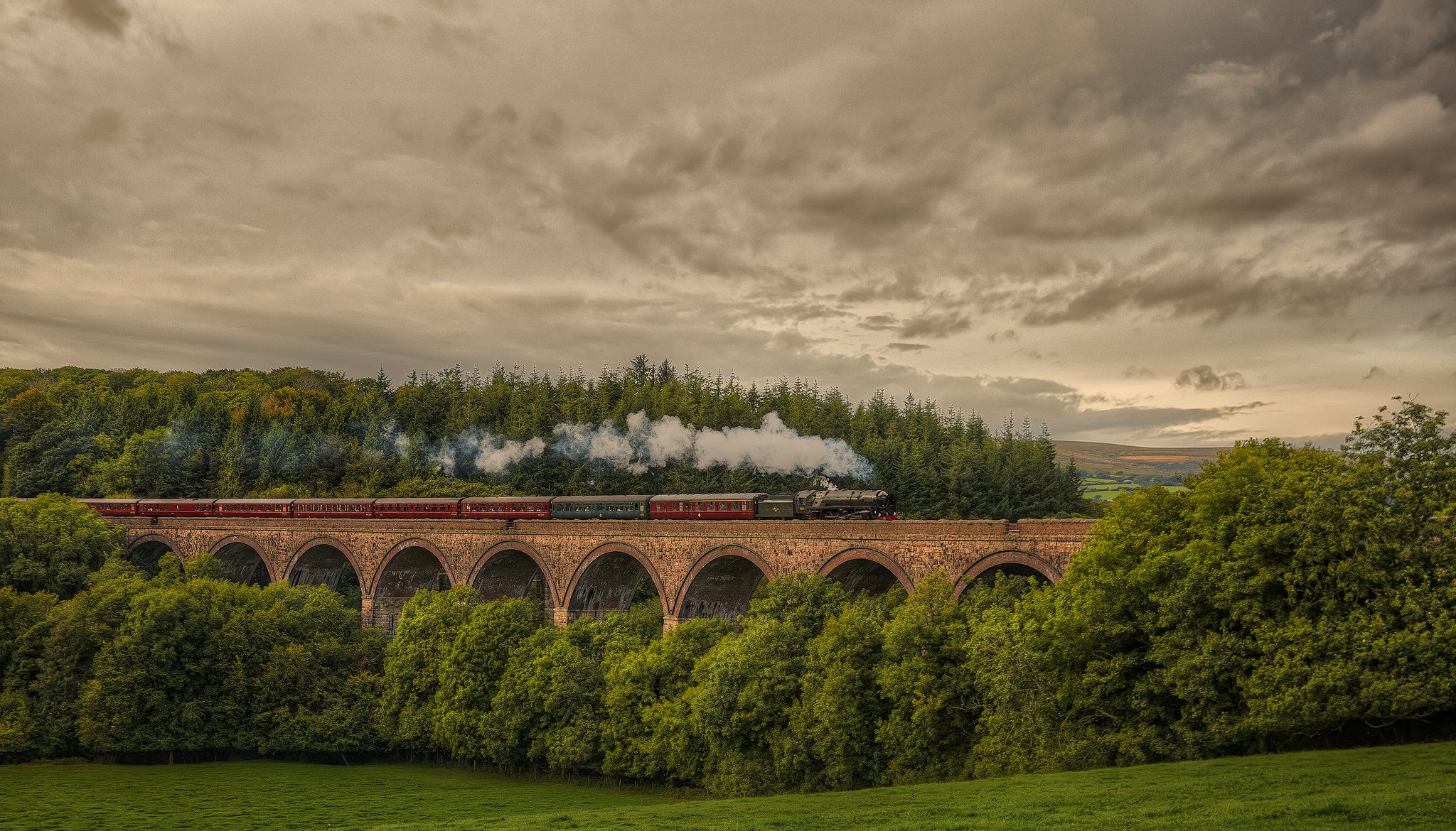 england lokomotive zug cornwood viadukt eisenbahn natur wald