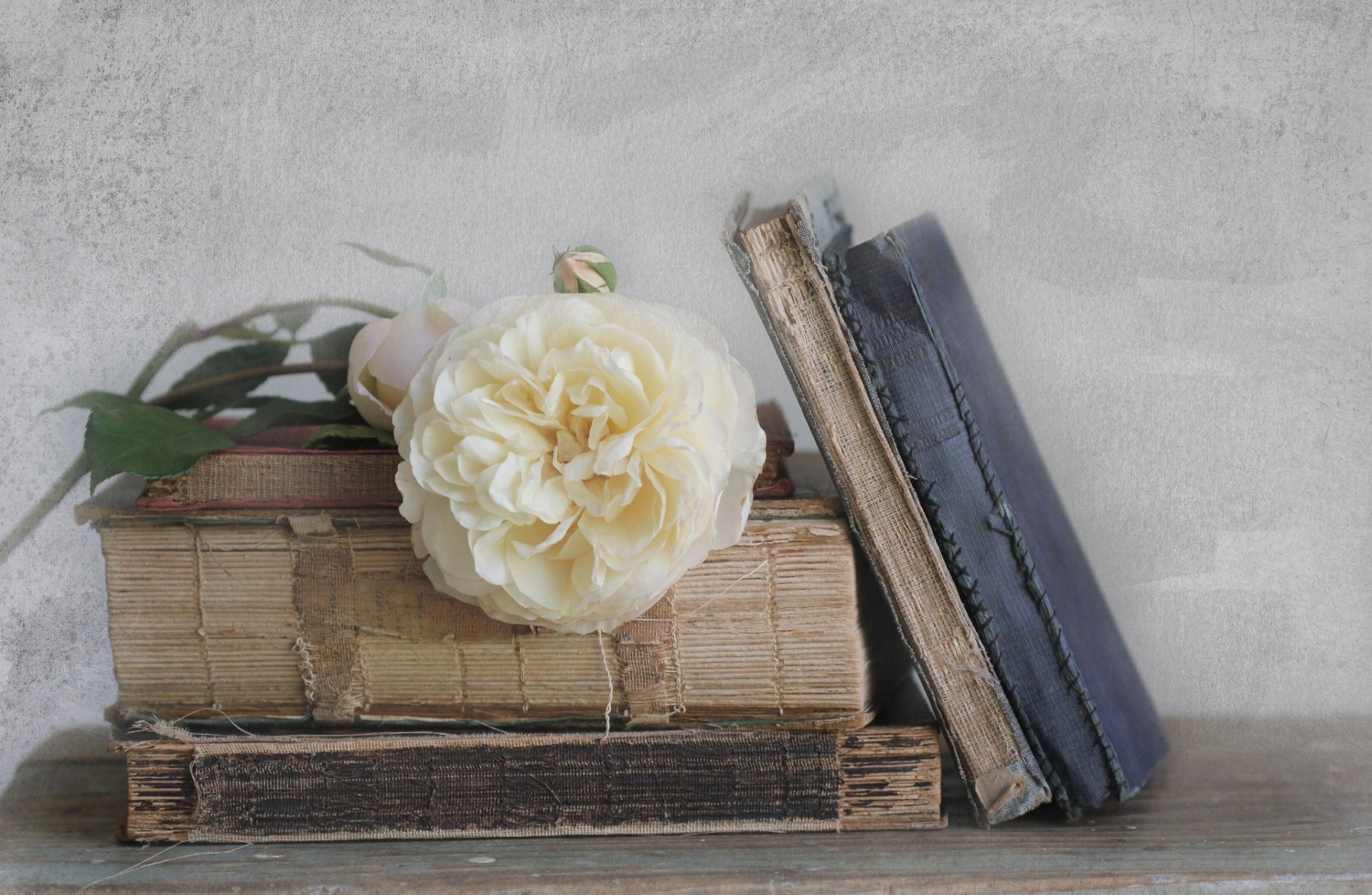 rose white books the old