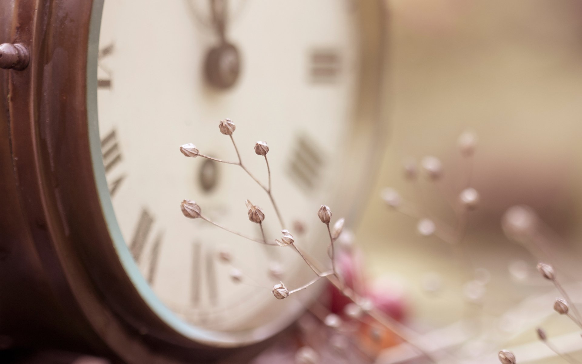 horloge branche fleurs petit mise au point