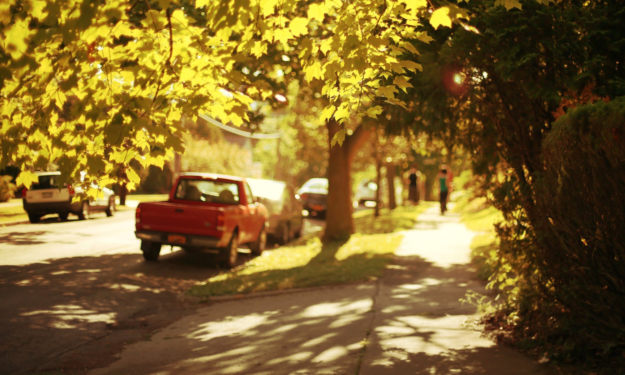 sonstiges stimmungen natur blätter blätter baum bäume fußweg gehweg menschen mensch figur maschine maschinen schatten sonne straße stadt tag hintergrund tapete widescreen vollbild widescreen widescreen weitformat breitbild weitformat weitformat