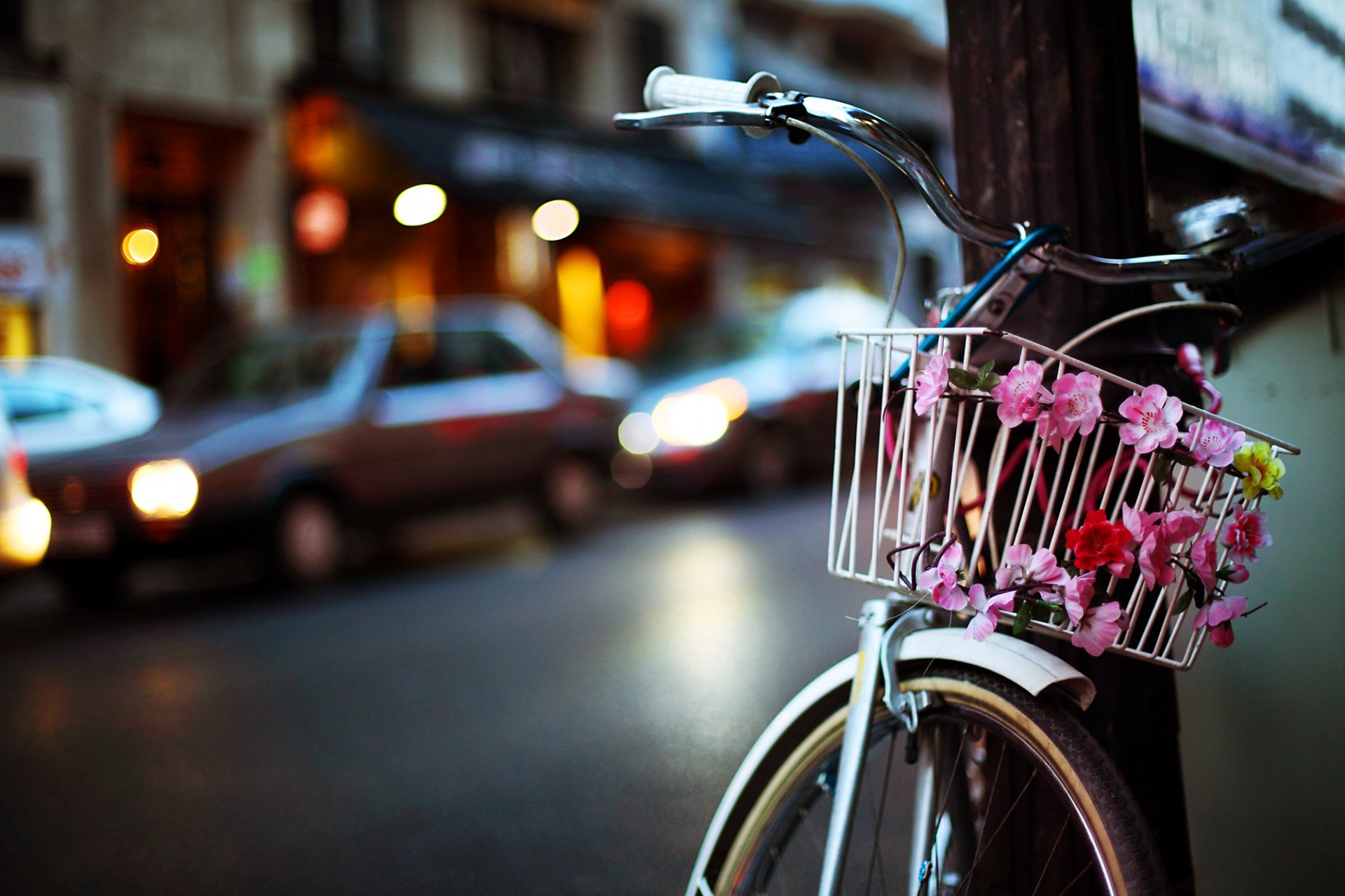 bicicletta carrello fiori pilastro città strada auto sera luci bokeh