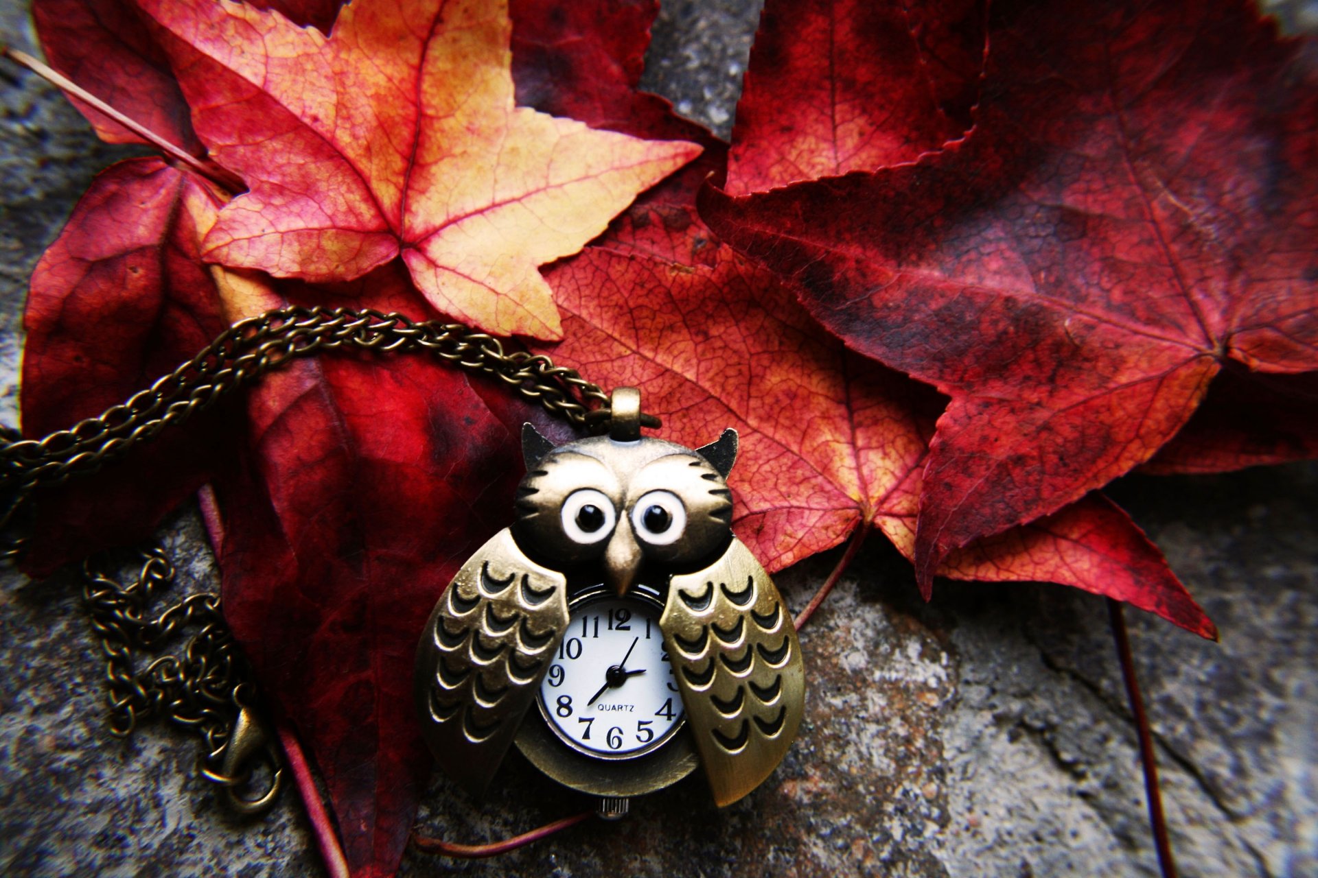 montre hibou chaîne pendentif feuilles rouge pourpre bourgogne jaune automne