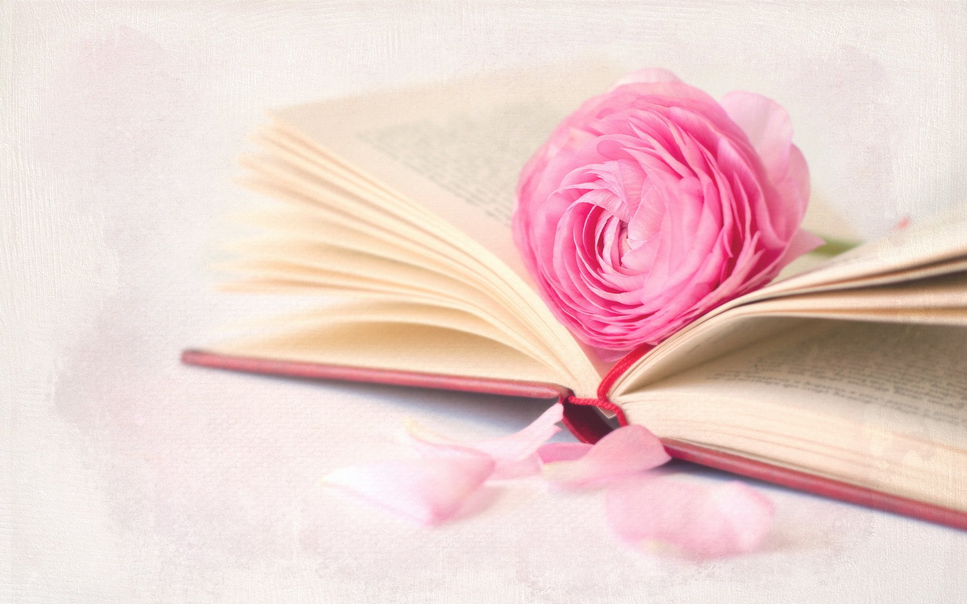 book flower background close up