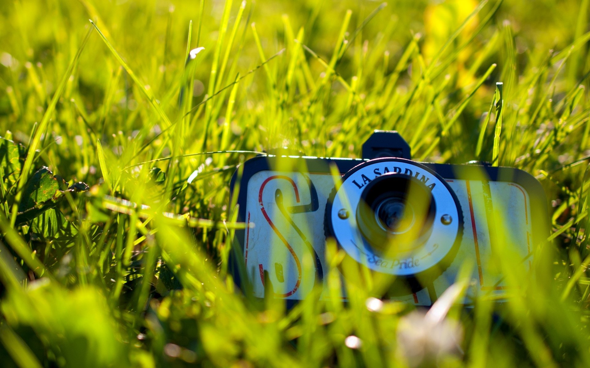 miscellaneous mood a camera samer camera nature grass green sun background wallpaper widescreen full screen hd wallpapers fullscreen