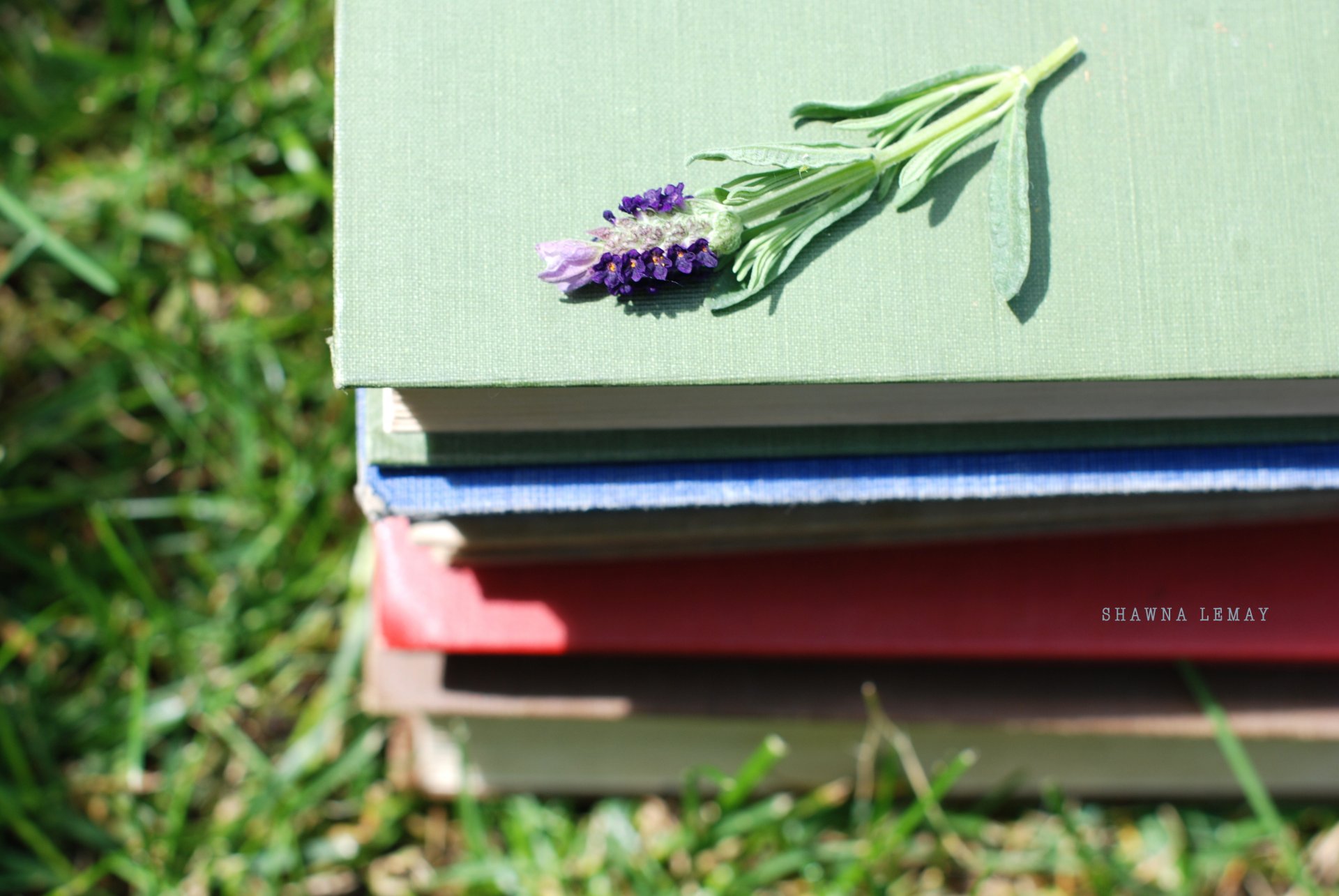 miscellaneous flower books stack grass green nature background wallpaper wallpaper