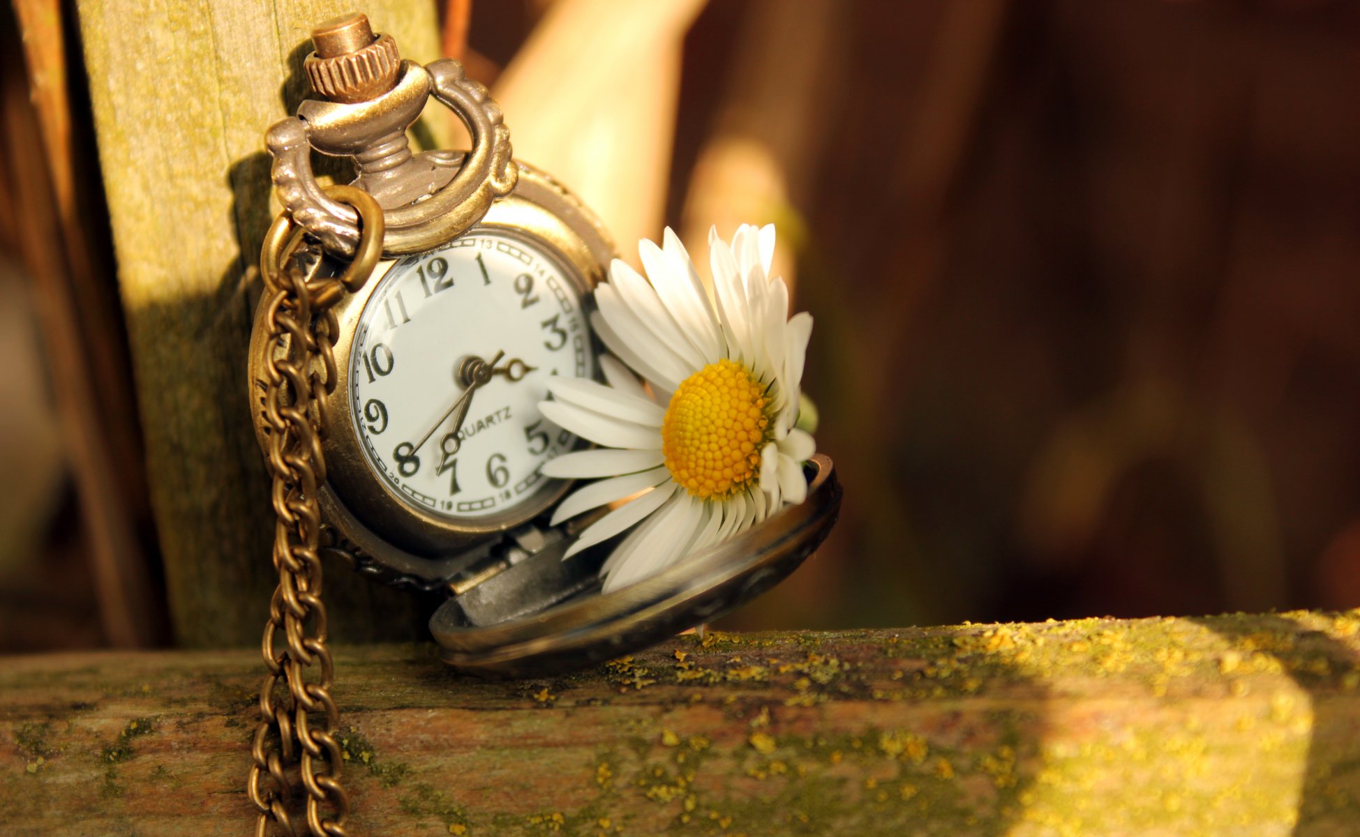 uhr zifferblatt zeiger zeit kette gänseblümchen blume licht