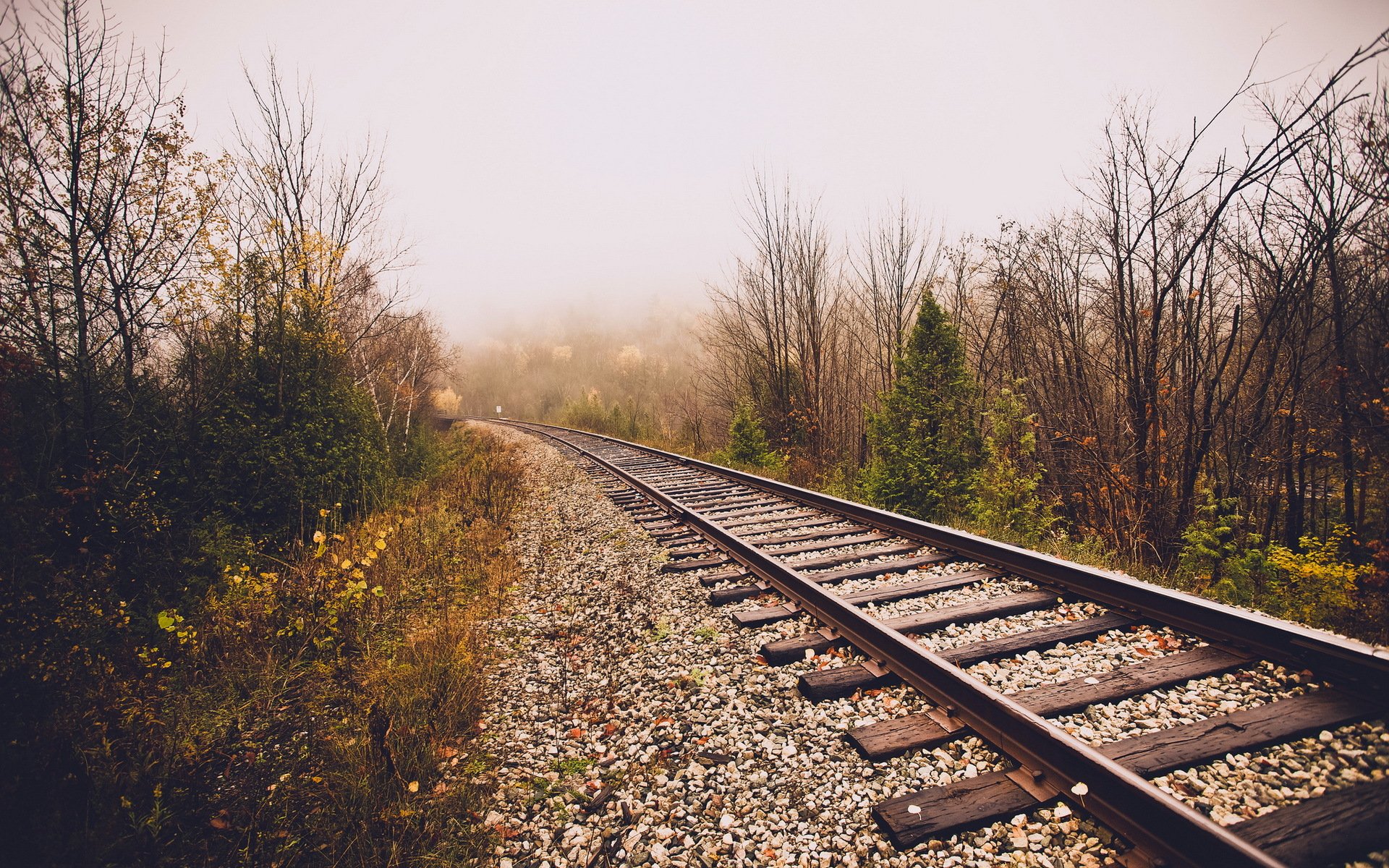 railroad fog nature