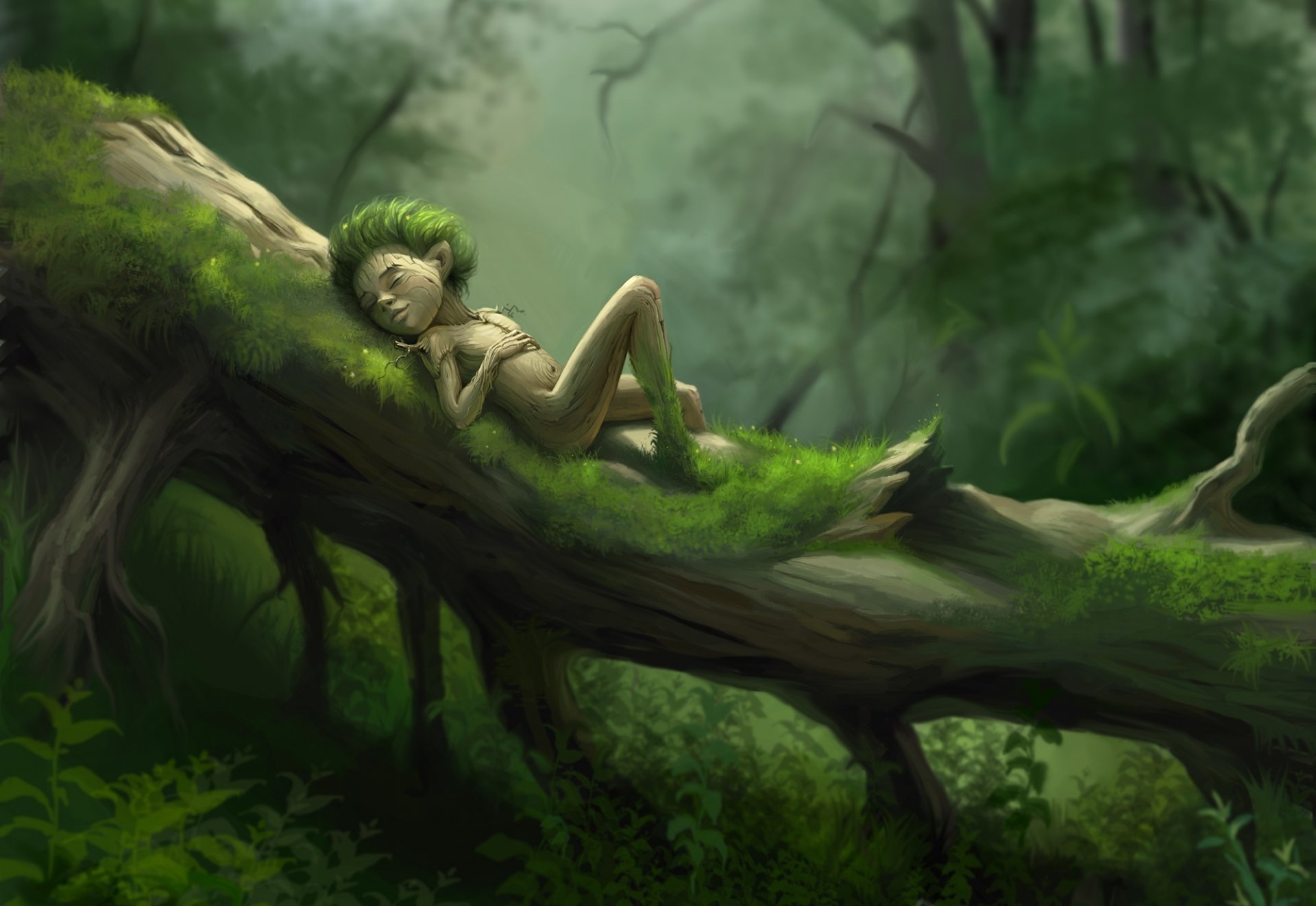 arte bosque musgo hierba árbol hombre descanso