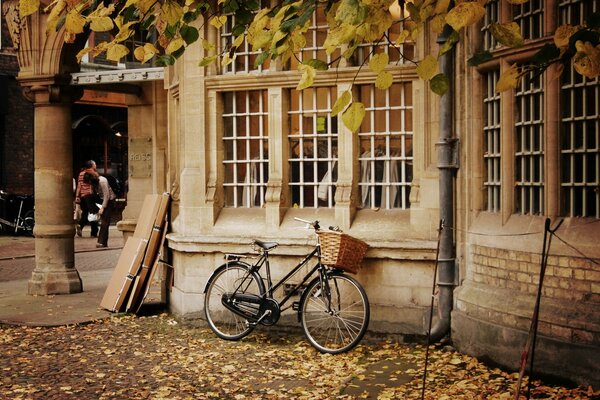 Carta da parati widescreen bicicletta con cesto e fogliame autunnale