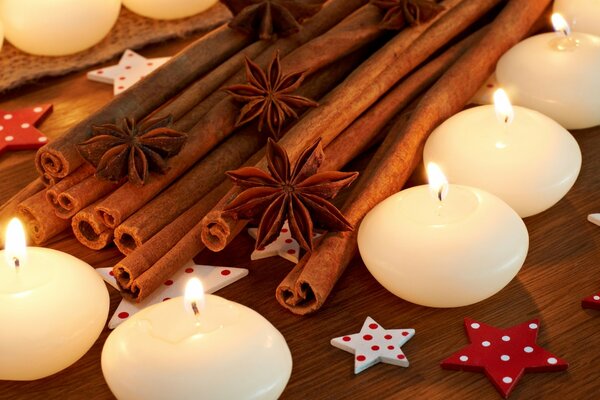 Aromatic spices - cinnamon sticks and anise