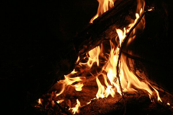 Gemütliches Lagerfeuer aus Kiefernholz am Abend