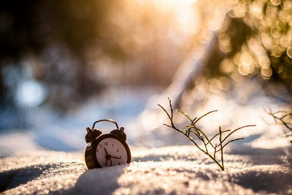 Alarm clock immersed in snow in the forest