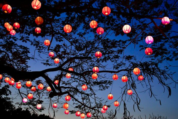 Lampes de nuit sur un arbre tentaculaire