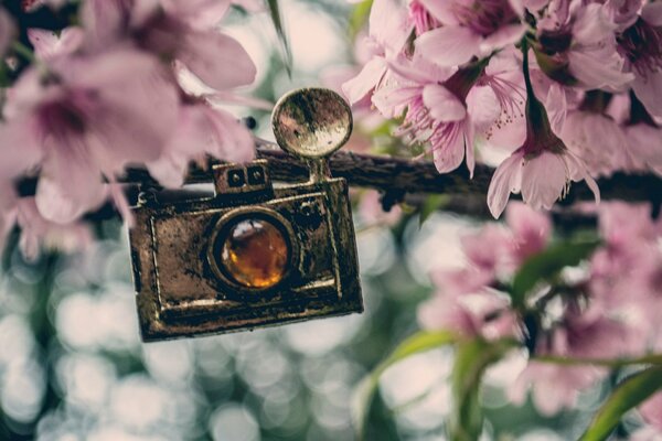 Ciondolo fotocamera su sfondo di fiori rosa