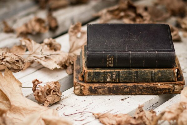 Pile de livres minables entourés de feuillage d automne délabré