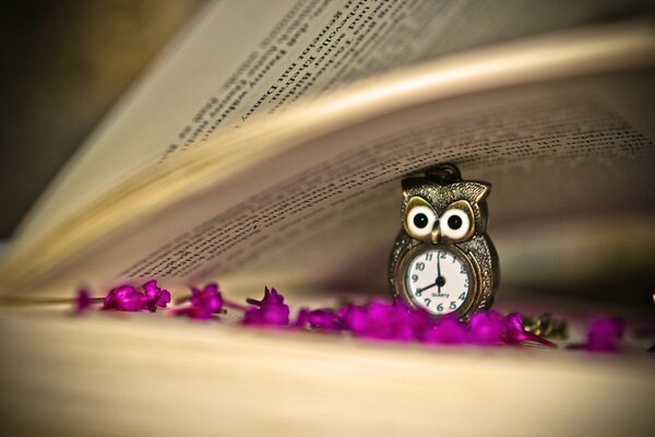 Mini horloge en forme de hibou comme signet de livre