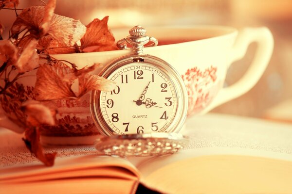 Pocket watch standing on an open book