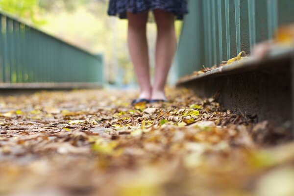 Die Beine eines Mädchens im Kleid stehen auf einem Gehweg mit Herbstlaub