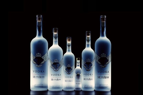 Seis botellas de vodka de marca alcohólica