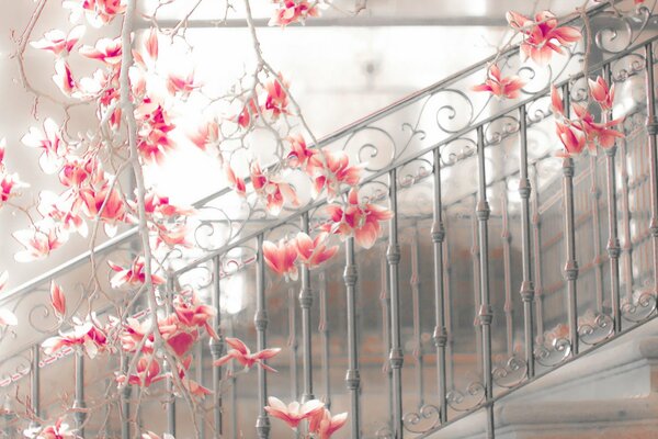 Escalier blanc donnant sur la rue