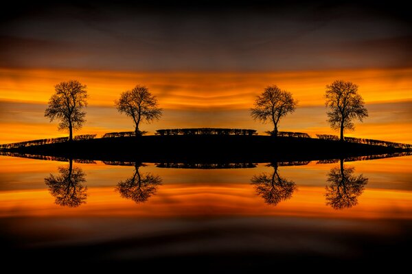 Sunset reflection in the water, silhouettes of trees