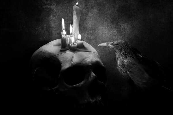 Picture of a raven looking at the burning candles on the skull