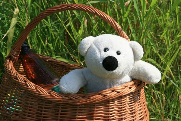 Oso de peluche en una cesta de setas