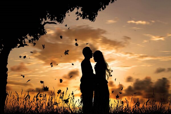 Silhouette of a man and a woman near a tree with falling leaves. A very beautiful sunset